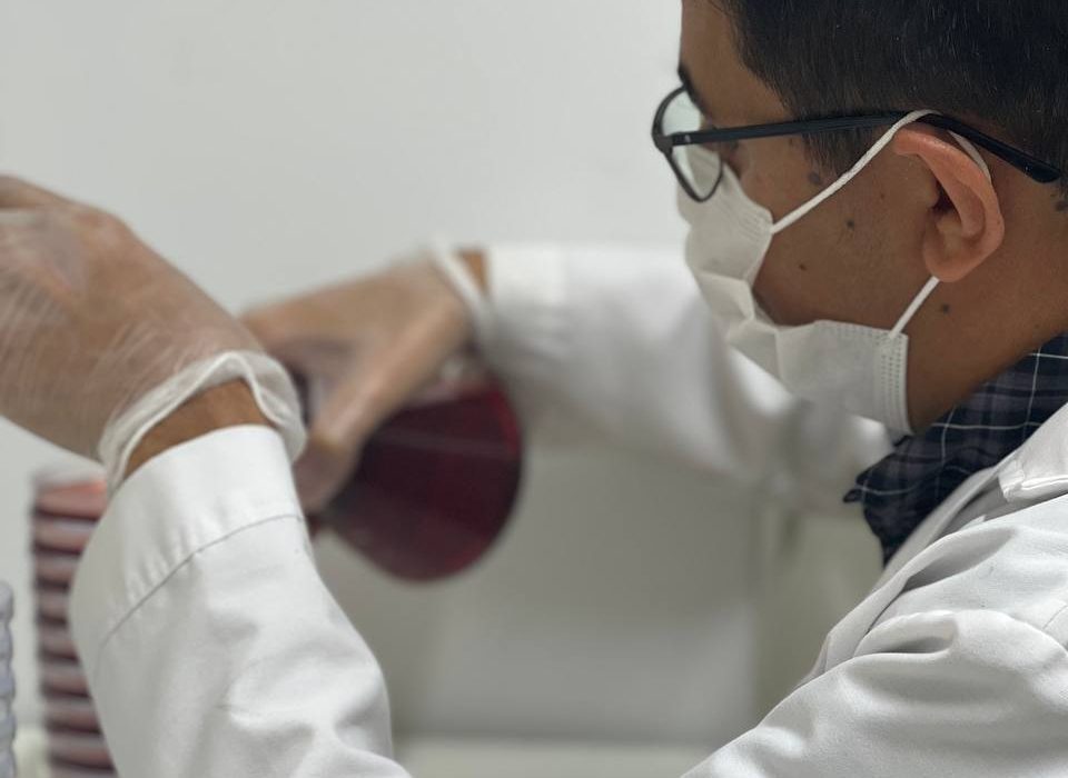 photo_5906728463765277618_y