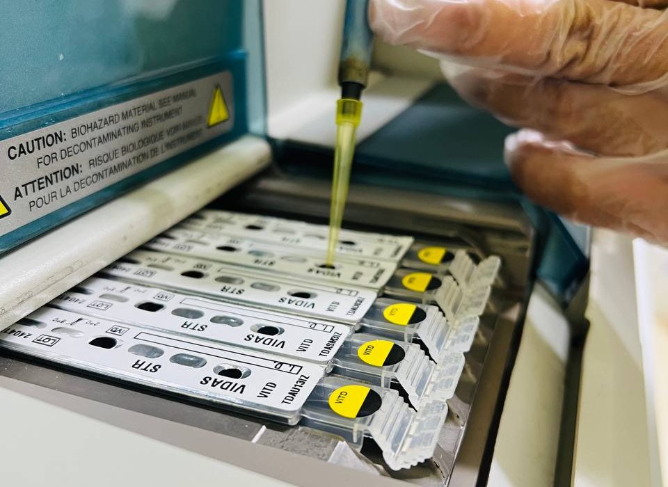 photo_5906728463765277626_y