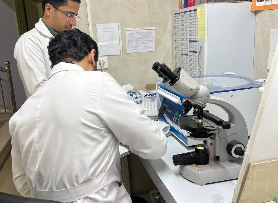 photo_5906728463765277627_y